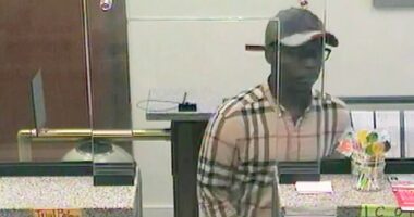 'Burberry Bandit' with dozens of prior arrests walks free after latest blue city crime spree: report