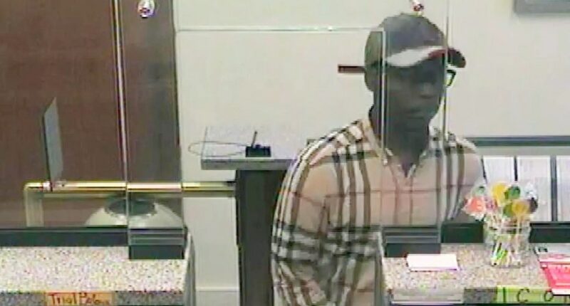 'Burberry Bandit' with dozens of prior arrests walks free after latest blue city crime spree: report