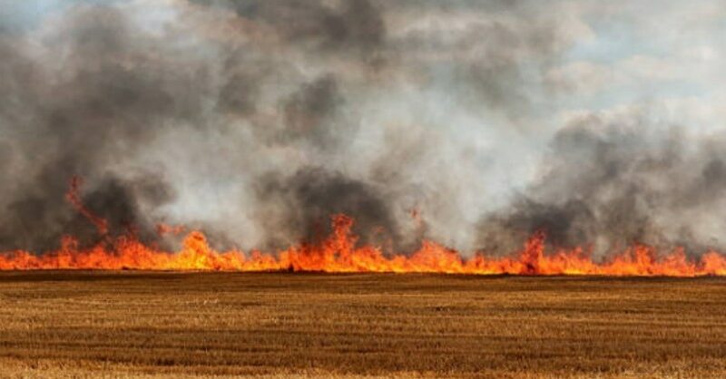 Burn bans issued in Central Illinois amid dry conditions