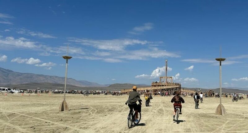 Burning Man murder mystery as cops ask for help to identify victim