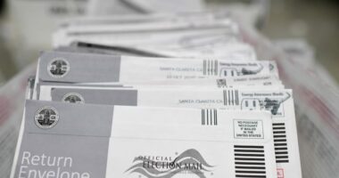 California woman accused of registering dog to vote, casting 2 ballots