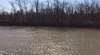 Campbell Soup admits to dumping waste into Maumee River, violating Clean Water Act 5,400 times