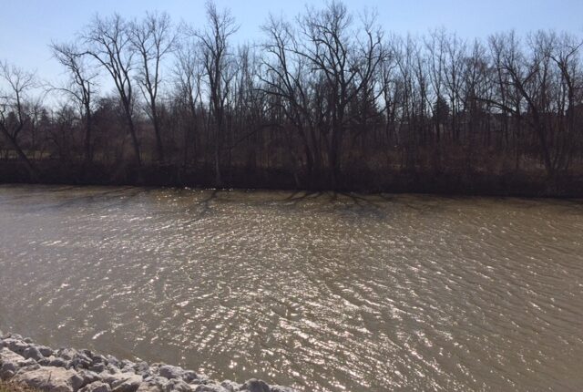 Campbell Soup admits to dumping waste into Maumee River, violating Clean Water Act 5,400 times