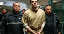 Can Luigi Mangione get too big to jail?