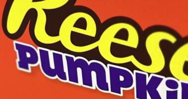 Case dismissed against Reese's Halloween candy