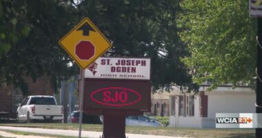 Champaign Co. high school dealing with 'nuisance' mold