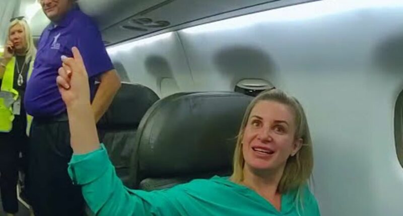 Chanel-toting 'Karen' marched out of plane's first class in wild clip