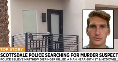 'Charismatic' man arrested for townhome slaying: Cops