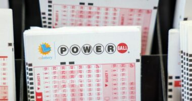 Check your ticket: Winning numbers for the $1.8B Powerball jackpot