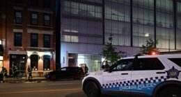 Chicago Alderman on Shootings in City: Trump 'Exacerbated' Inner City Violence