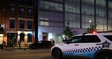 Chicago Alderman on Shootings in City: Trump 'Exacerbated' Inner City Violence