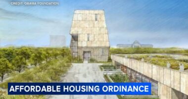 Chicago City Council committee votes on plan to address housing concerns linked to Obama Presidential Center in Jackson park