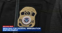Chicago immigration enforcement: Illinois protesters demonstrate ahead of expected surge in ICE operations this weekend