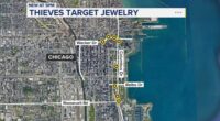 Chicago police issue alert on series of necklace-snatching robberies in Loop, Grant Park