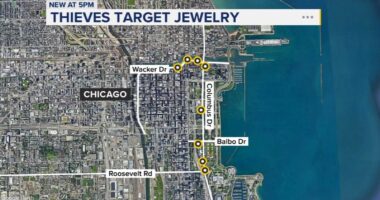 Chicago police issue alert on series of necklace-snatching robberies in Loop, Grant Park