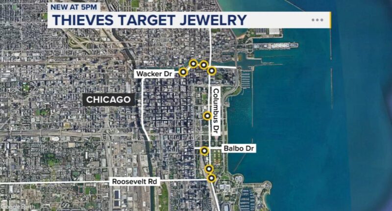 Chicago police issue alert on series of necklace-snatching robberies in Loop, Grant Park