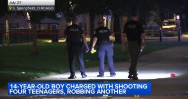Chicago shooting: 14-year-old boy charged after 4 teens shot on Springfield Avenue in Lawndale after robbery July 27, police say