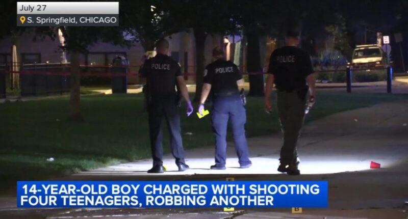 Chicago shooting: 14-year-old boy charged after 4 teens shot on Springfield Avenue in Lawndale after robbery July 27, police say