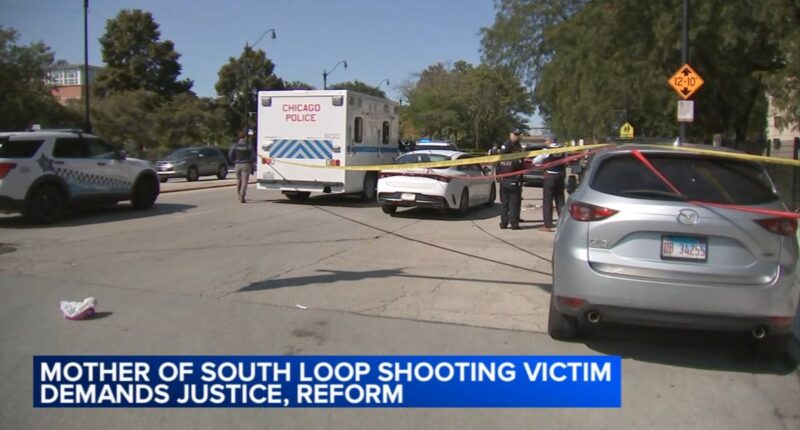 Chicago shooting: Mother speaks out after Romeca Meeks-Blackmon shot in face, killed on State Street in South Loop, police say
