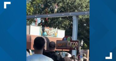 Child rescued after walking along Hersheypark monorail tracks