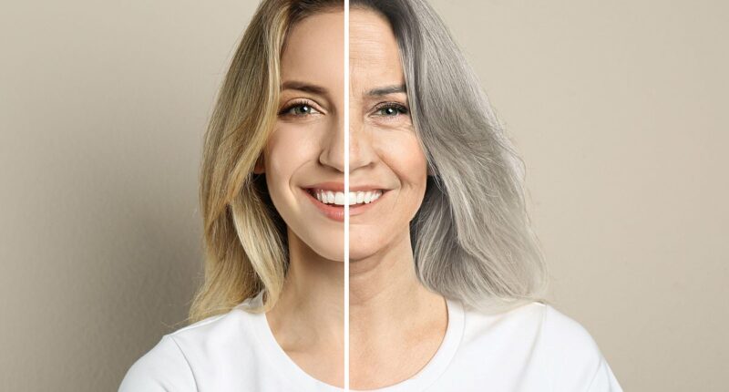 Chinese scientists claim they can cure grey hair with scalp injections