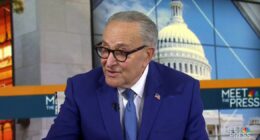 Chuck Schumer says Trump meeting ‘only a first step’ to avoiding shutdown: Full interview