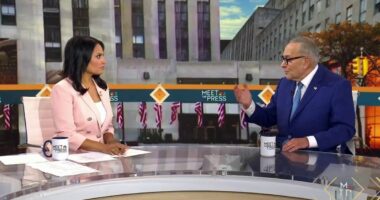 Chuck Schumer: ‘I have no faith in Donald Trump’s judicial system’ amid Comey indictment