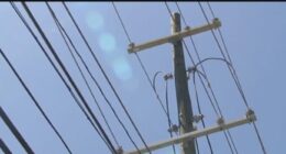 Clearwater council votes to enter appraisal phase of study, possibly drop Duke Energy