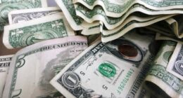 Cocoa Beach man loses nearly $2.5M in devastating crypto investment scheme