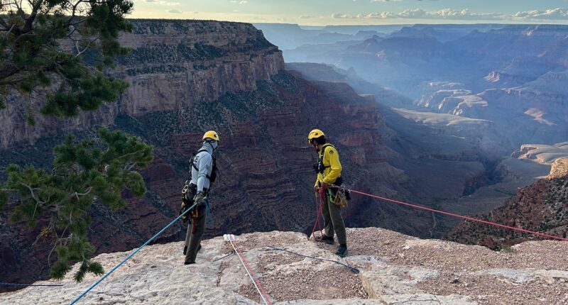 Colorado man dies after car drives over rim of Grand Canyon National Park