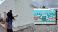 Controversial downtown Apopka mural painted over after similarity claims