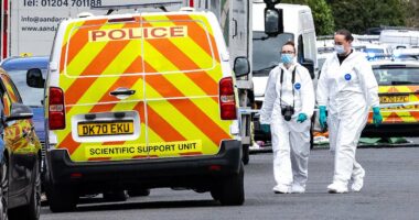 Cop arrested Southport killer despite 'You need a f****** gun' warning