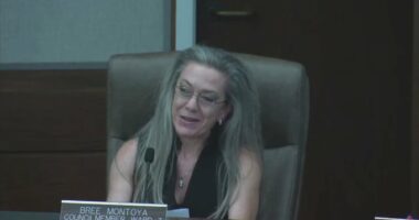 Councilwoman resigns after telling a Trump supporter to kill herself