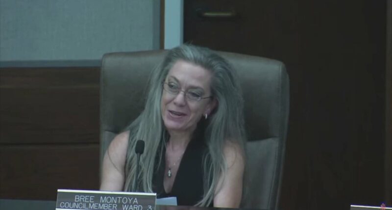 Councilwoman resigns after telling a Trump supporter to kill herself