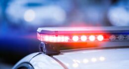 Couple Arrested After Police Say Their 5 Children Were Locked in "Dungeon" Like Conditions