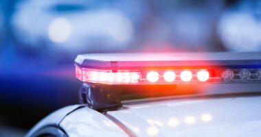 Couple Arrested After Police Say Their 5 Children Were Locked in "Dungeon" Like Conditions