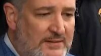 Cruz after ICE office shooting: ‘This needs to stop’