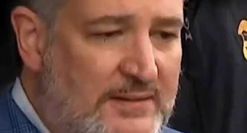 Cruz after ICE office shooting: ‘This needs to stop’