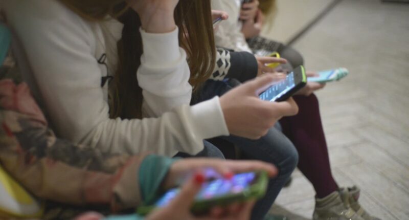 Cyberbullying crimes in Florida explained