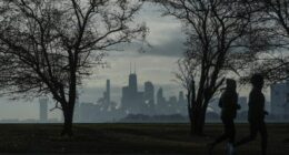 DHS announces 'Midway Blitz' ICE operation in Chicago