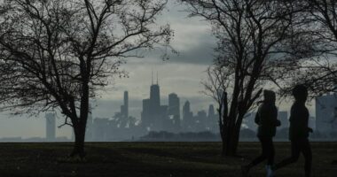 DHS announces 'Midway Blitz' ICE operation in Chicago