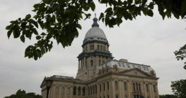 DOJ sues Illinois over law providing in-state tuition to migrants