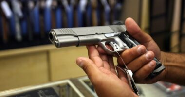DOJ sues LA sheriff’s office in its first-ever gun-rights lawsuit over carry delays