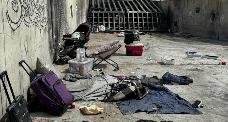 Daily Mail reveals the secrets of Las Vegas's infamous 'mole people'