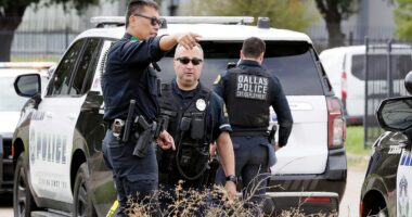 Dallas ICE shooting injures Mexican national, sparking 'concern’ from Mexico