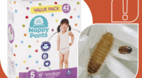 Khapra Beetle detection in nappy pants