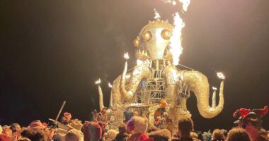 Death in the desert: Man found dead in suspected homicide at Burning Man