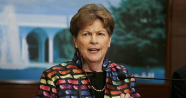 Democrat roasts Trump on failed peace deal with Putin