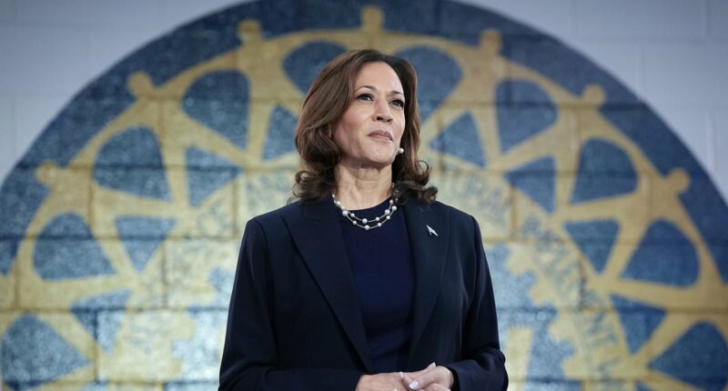 Democrats brace for Kamala book tour funeral as they try to rebuild