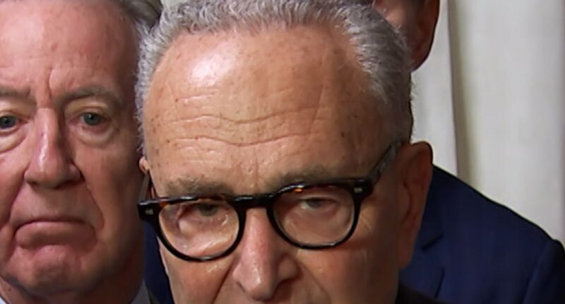Democrats slam Trump pointing blame for Kirk's death